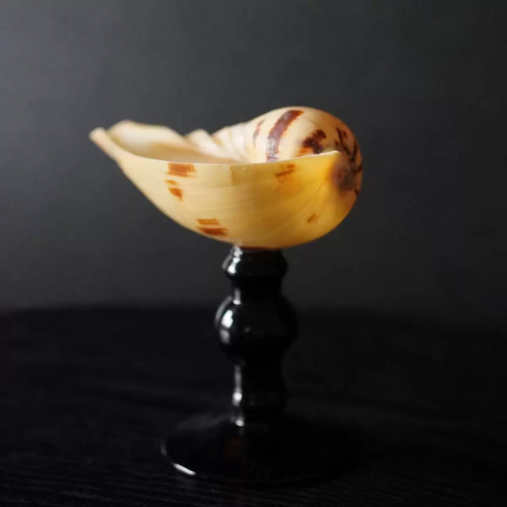 ‘Niche Conch’ Wineglass