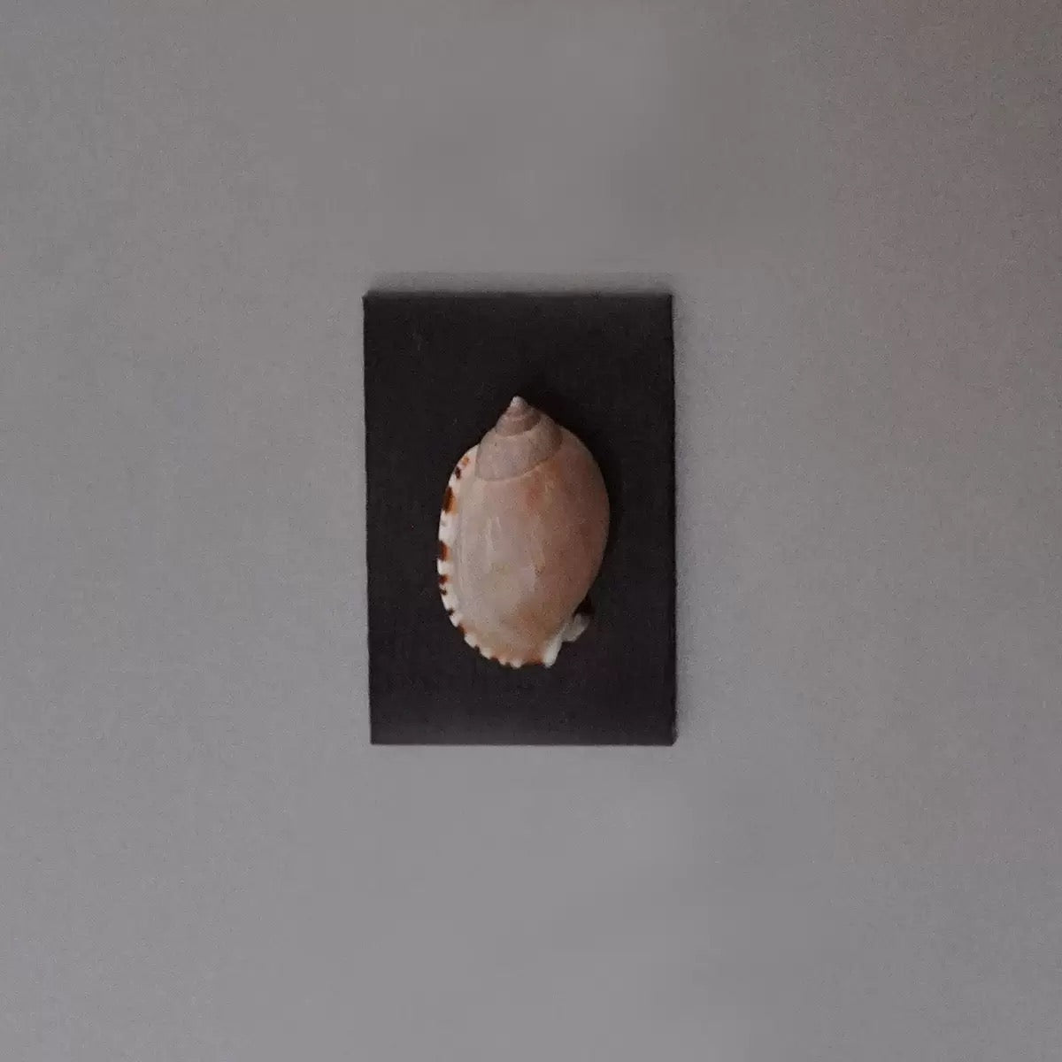 ‘Voice Of The Siren’ Magnet