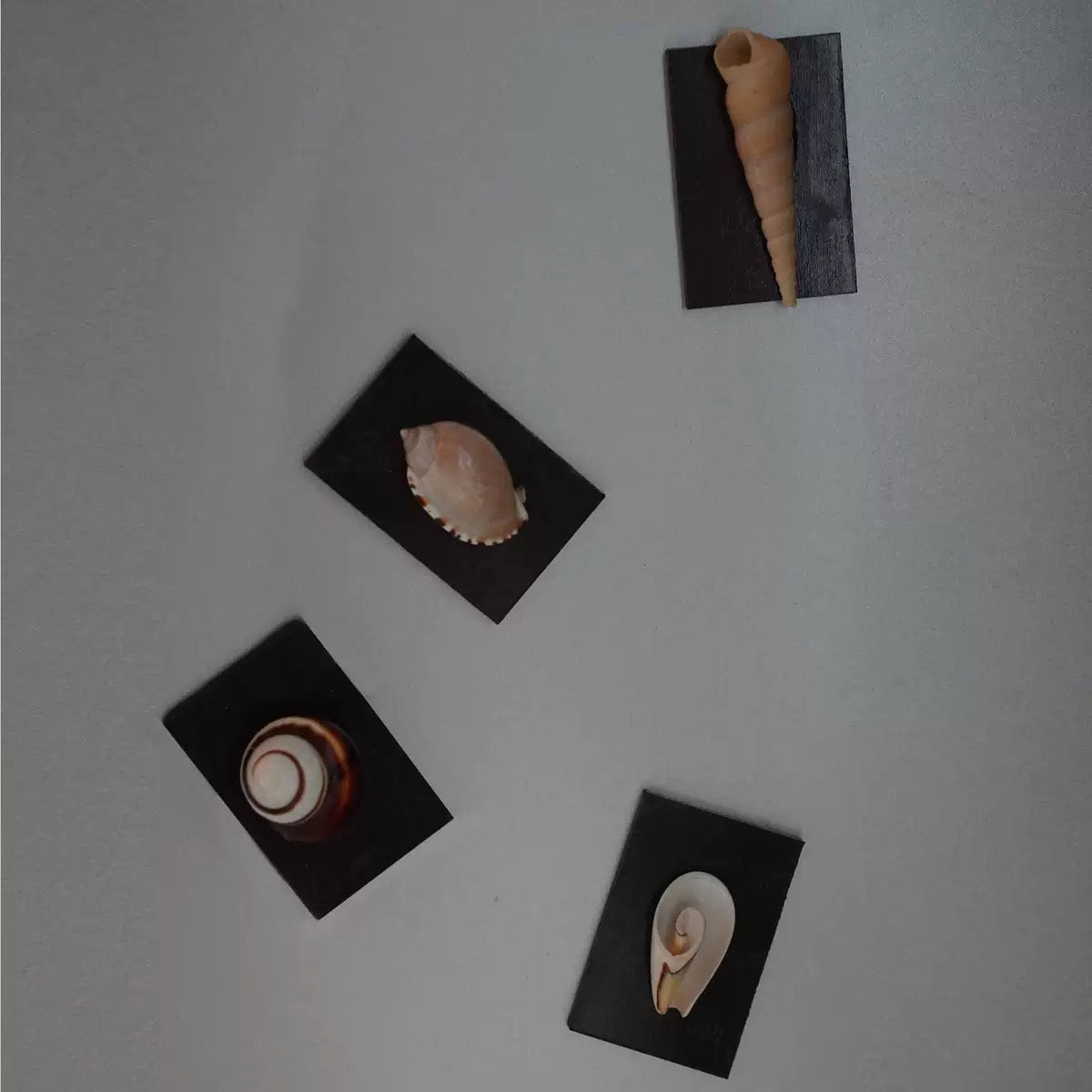 ‘Voice Of The Siren’ Magnet