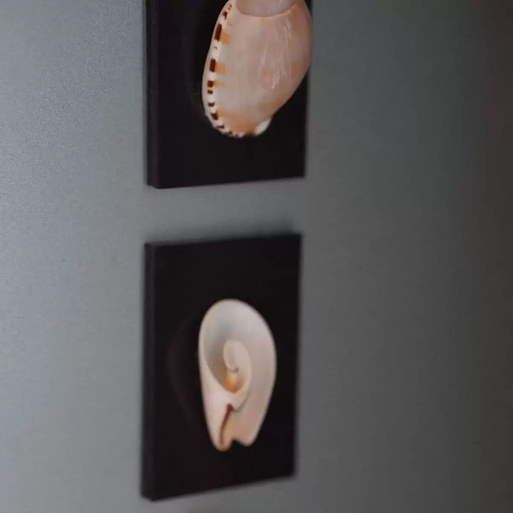 ‘Voice Of The Siren’ Magnet