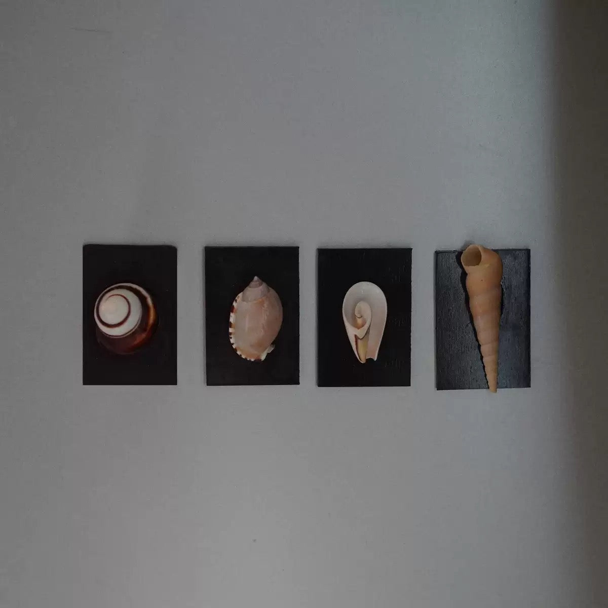 ‘Voice Of The Siren’ Magnet