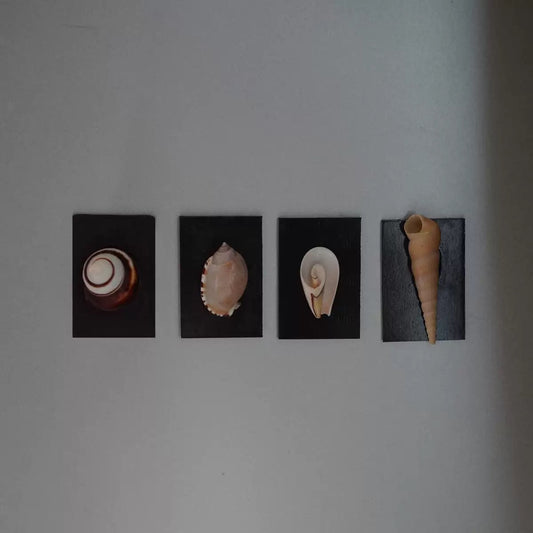 ‘Voice Of The Siren’ Magnet