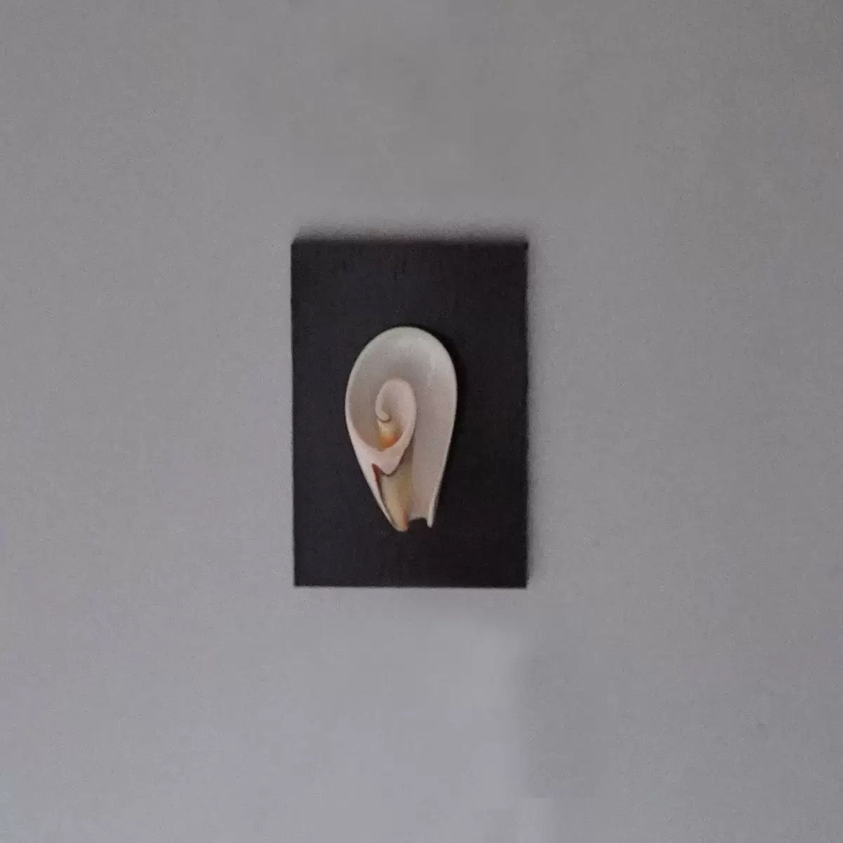 ‘Voice Of The Siren’ Magnet