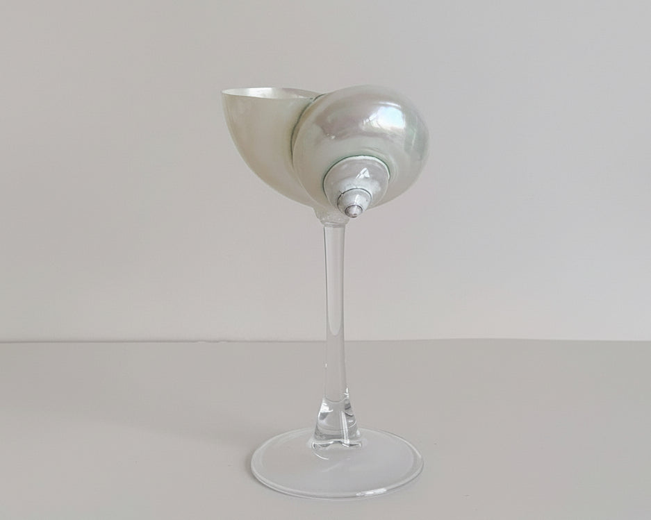 'The Living Spiral' Wineglass